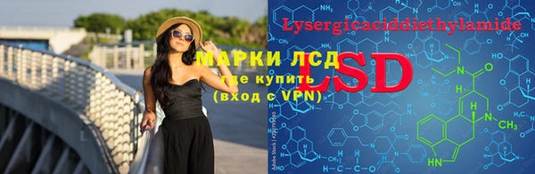 прущие грибы Алзамай