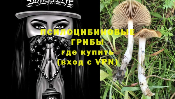 дурь Алексин