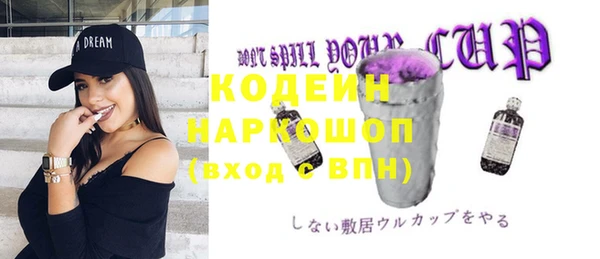 дурь Алексин