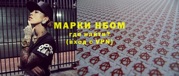 прущие грибы Алзамай