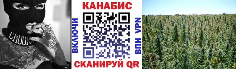 Бошки марихуана ГИДРОПОН Пласт